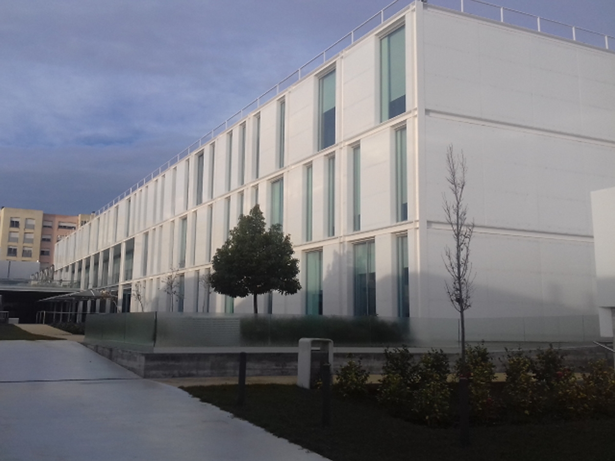 Acrílicos Poliexport